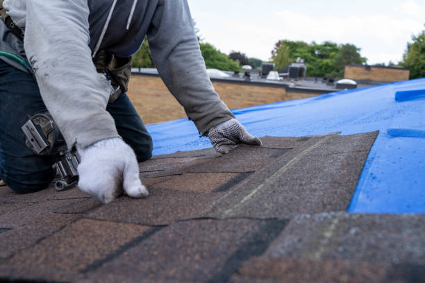 Best Shingle Roofing Installation  in Lutherville, MD