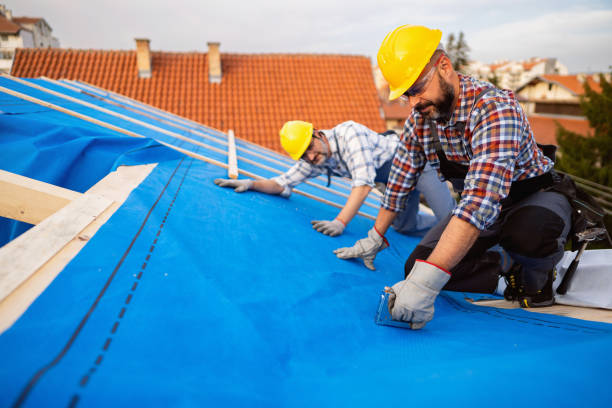 Best Flat Roof Repair Services  in Lutherville, MD
